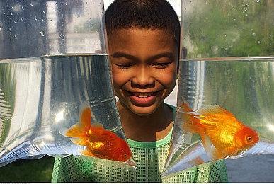 4V4对战游戏《古惑狼大乱斗》6月20日上市